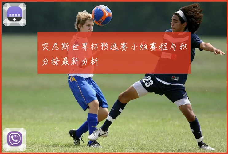突尼斯世界杯预选赛小组赛程与积分榜最新分析