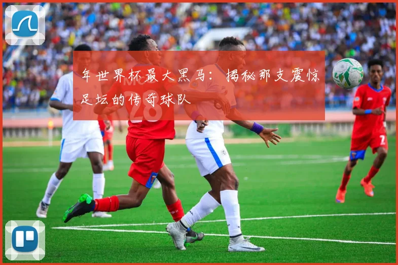 年世界杯最大黑马：揭秘那支震惊足坛的传奇球队