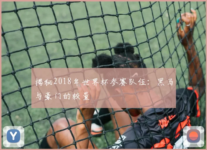 揭秘2018年世界杯参赛队伍：黑马与豪门的较量