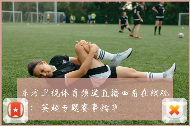 东方卫视体育频道直播回看在线观看：英超专题赛事精华