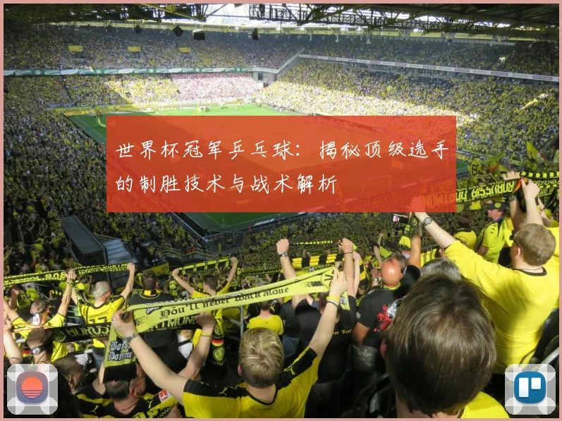 世界杯冠军乒乓球：揭秘顶级选手的制胜技术与战术解析